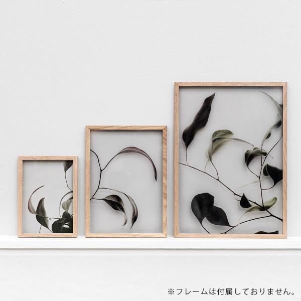 Paper Collective / Floating Leaves 03 A4(Clear)【メール便可 5点まで】【ペーパーコレクティブ/ポスター/フローティングリーヴス/デンマーク】[115712 |  | 02