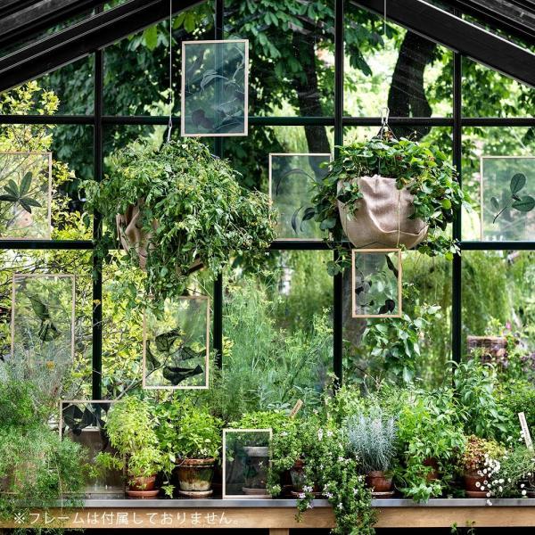 Paper Collective / Floating Leaves 03 A4(Clear)【メール便可 5点まで】【ペーパーコレクティブ/ポスター/フローティングリーヴス/デンマーク】[115712 |  | 04