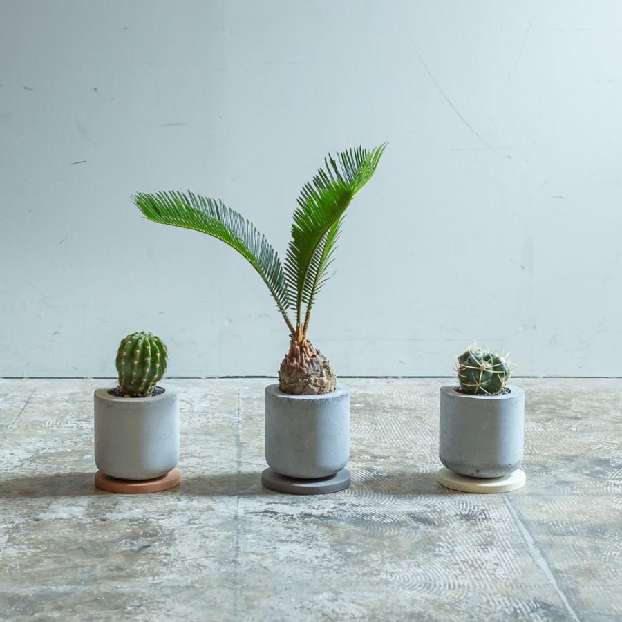 Bulbous バルバス Edge Black Gray プランター 植木鉢 エッジ モルタル フラワーポット Moton Ons オンズ B L W 通販 Yahoo ショッピング