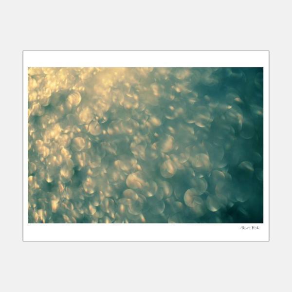 Alicia Bock Photography / We Are Stars 330×254mm | 8"×12"/アリシアボックフォトグラフィ/写真/アート/フォトグラファー/光/ウェーアースターズ | 113799 | 