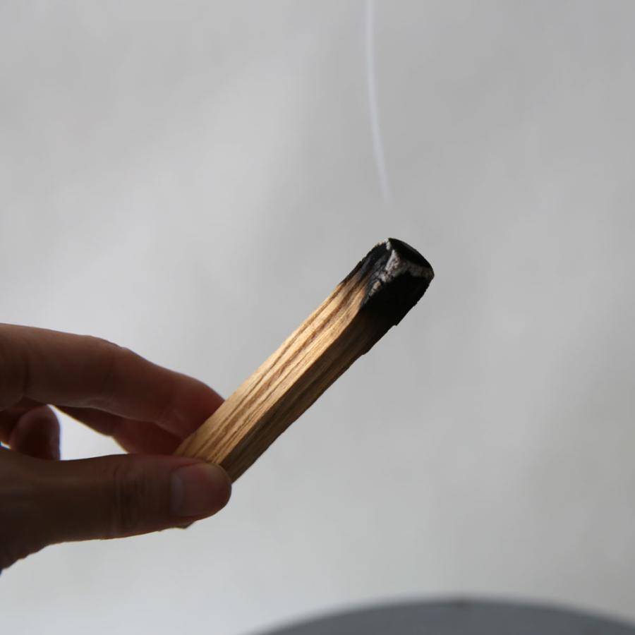 BORDERLESS inc. / PALO SANTO (2P) | メール便可 10点まで | パロサント2本セット スティック 香木 お香 B.L.Wオリジナル | 117640 |  | 03