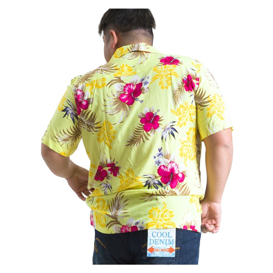 大きいサイズ メンズ DANIEL DODD 半袖 プリント レーヨン オープン シャツ アロハシャツ 653-210201 | Daniel Dodd | 10