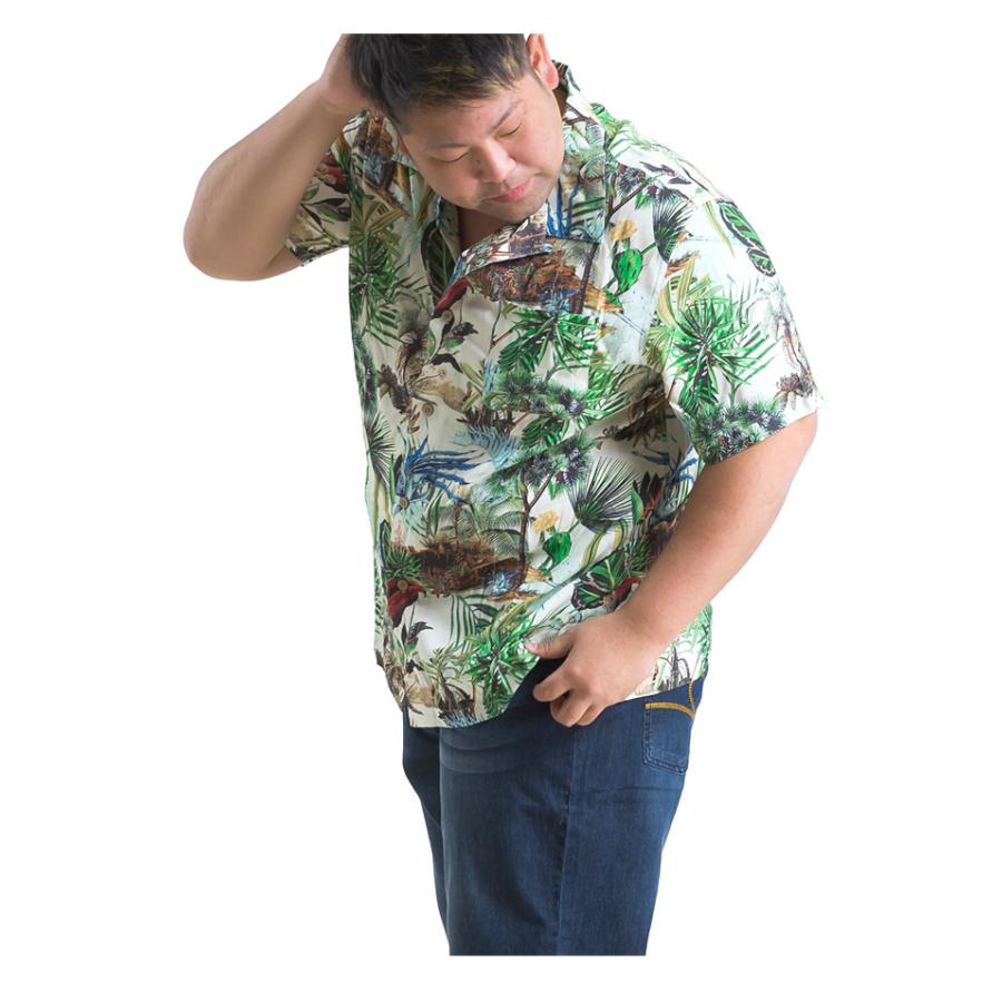 大きいサイズ メンズ DANIEL DODD 半袖 プリント レーヨン オープン シャツ アロハシャツ 653-210201 | Daniel Dodd | 12