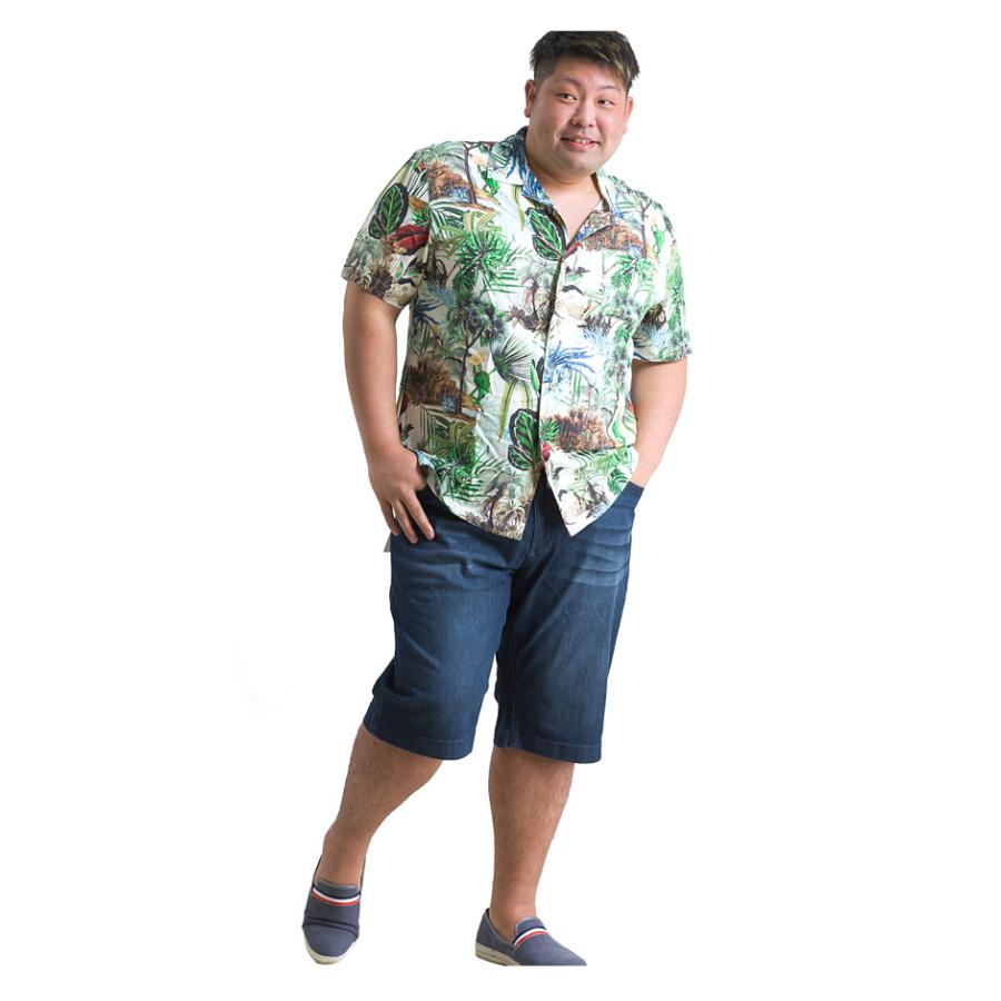 大きいサイズ メンズ DANIEL DODD 半袖 プリント レーヨン オープン シャツ アロハシャツ 653-210201 | Daniel Dodd | 06