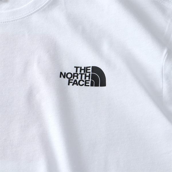 大きいサイズ メンズ THE NORTH FACE ザ ノース フェイス プリント 半袖 Tシャツ RED BOX TEE USA直輸入 nf0a2tx2-fn4｜bmo｜07