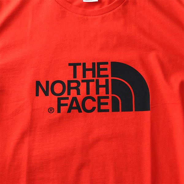 大きいサイズ メンズ THE NORTH FACE ザ ノース フェイス プリント 半袖 Tシャツ USA直輸入 nf0a2tx3 | THE NORTH FACE | 10