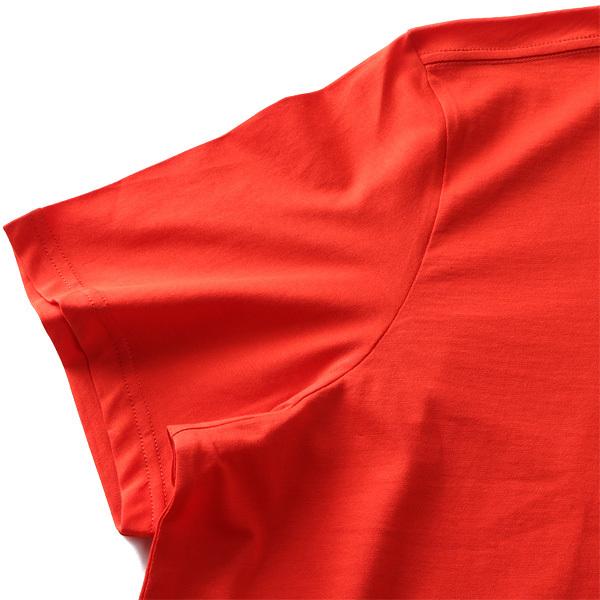 大きいサイズ メンズ THE NORTH FACE ザ ノース フェイス プリント 半袖 Tシャツ USA直輸入 nf0a2tx3 | THE NORTH FACE | 11