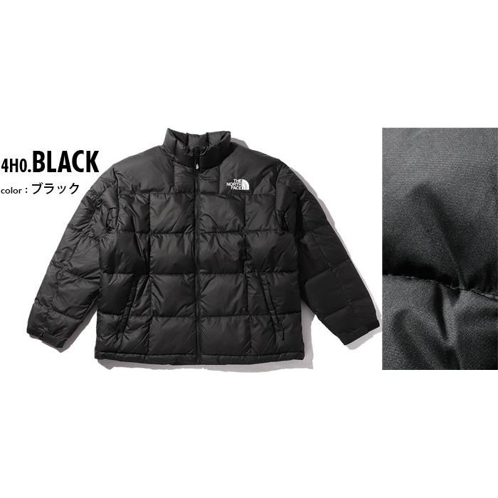 大きいサイズ メンズ THE NORTH FACE ノースフェイス ダウン ジャケット USA直輸入 nf0a3y23-4h0の画像
