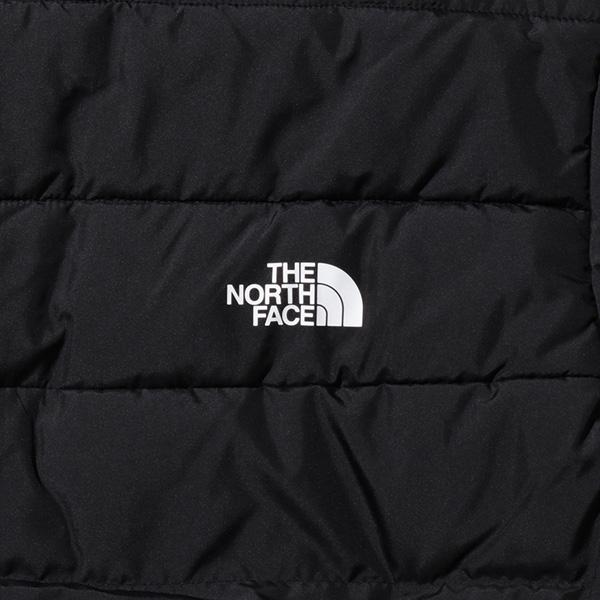 THE NORTH FACE（ザ ノースフェイス） 大きいサイズ メンズ ノース