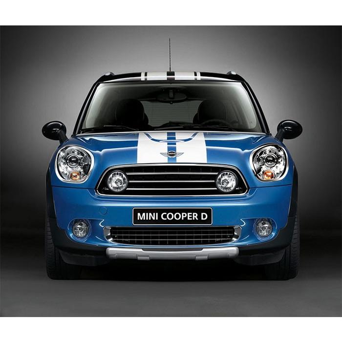 BMW - BMW MINI スケボー　値下げ BMW - BMW MINI スケボー 値下げ BMW（スケートボード）のフリマ