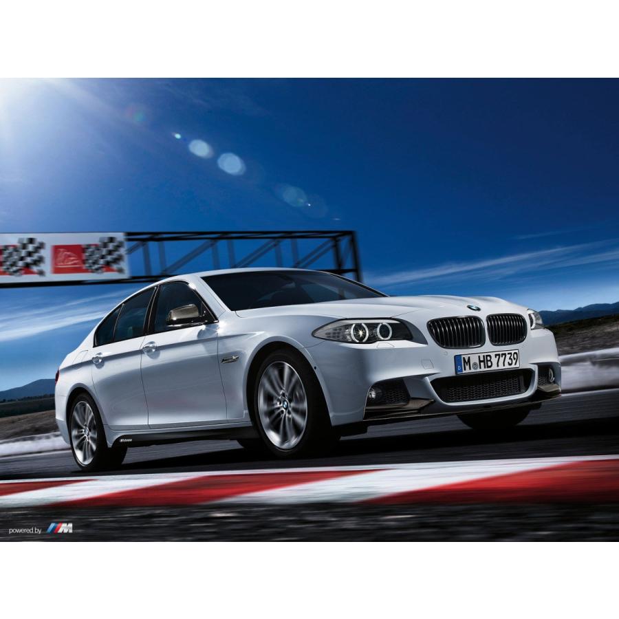 BMW 純正 F10 F11 5シリーズ M Performance サイド スカート フィルム