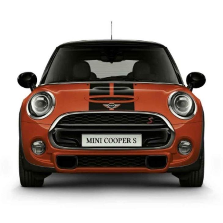 MINI（ミニ） BMW MINI 純正 F55 5door 前期 スポーツ ストライプ
