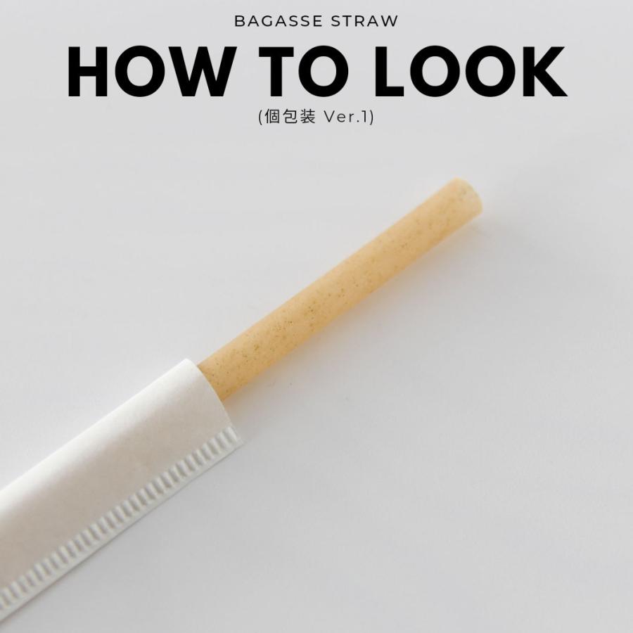 6mm口径 テイクアウト おしゃれ エコ バガス サトウキビ ストロー エコ