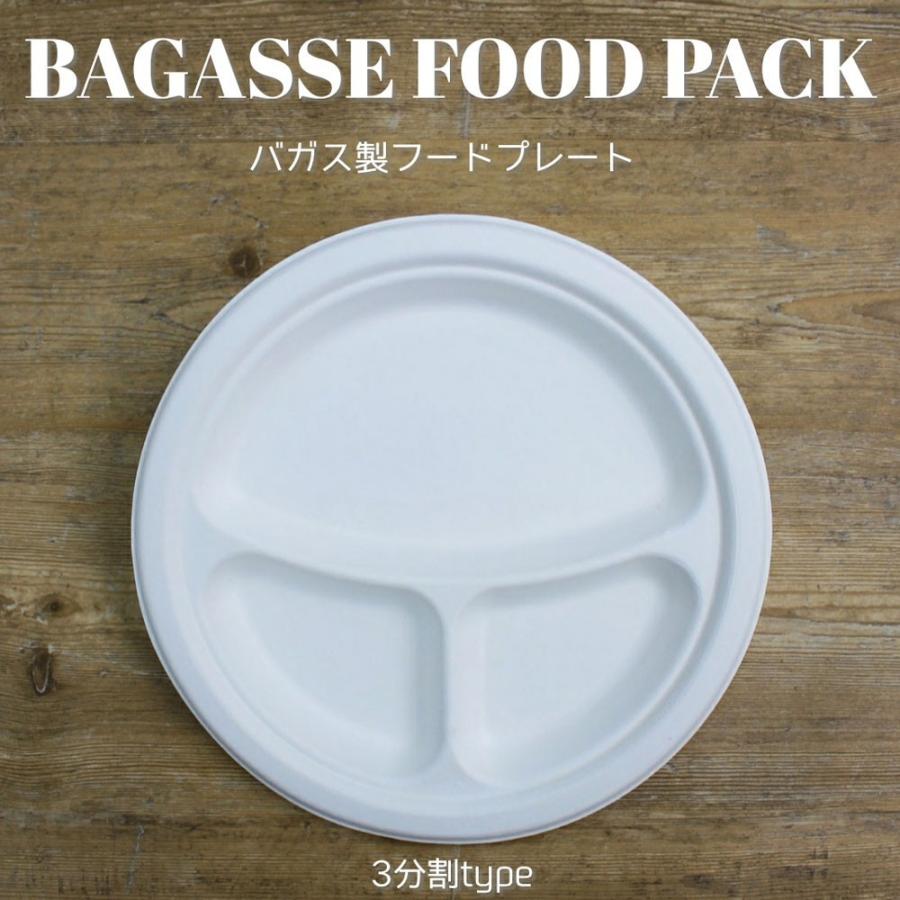 テイクアウト 容器 takeout お持ち帰り おしゃれ エコ バガス フード
