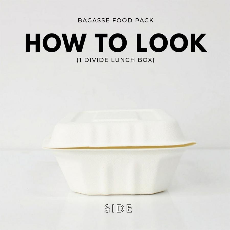 テイクアウト 容器 takeout お持ち帰り おしゃれ エコ バガス