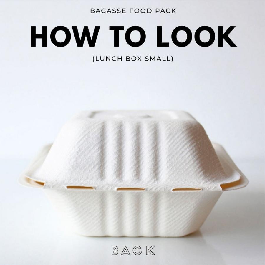想像を超えての テイクアウト 容器 Takeout お持ち帰り おしゃれ エコ バガス フードボックス 分割無し 正方形 Small 480枚 Df P505 新発 Zoetalentsolutions Com