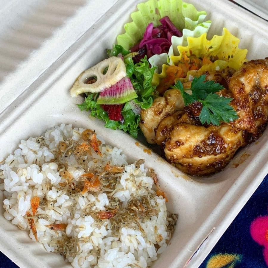 テイクアウト 容器 takeout お持ち帰り おしゃれ エコ バガス フード