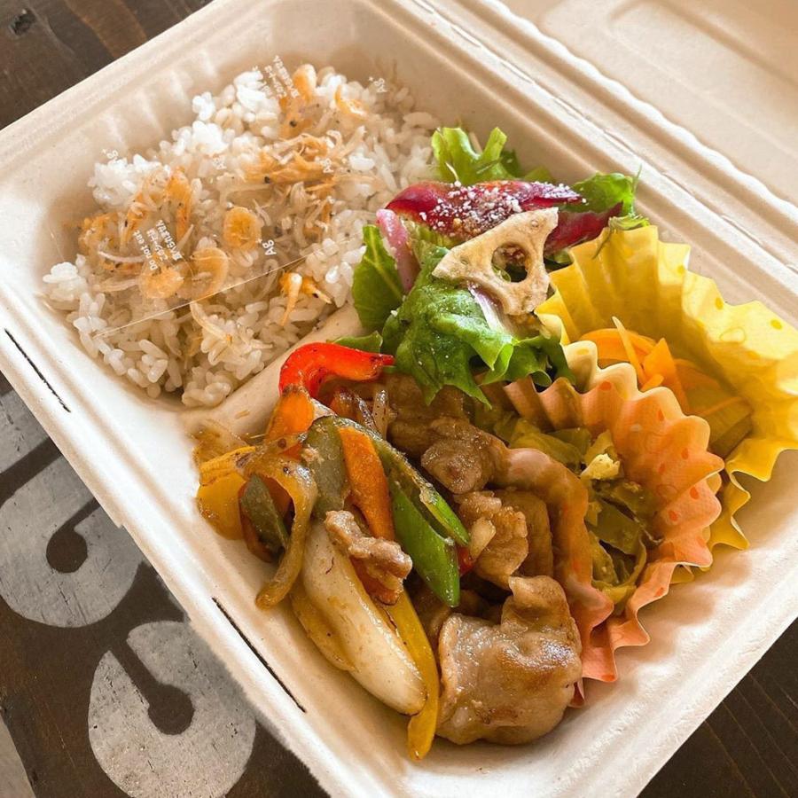 テイクアウト 容器 takeout お持ち帰り おしゃれ エコ バガス フードボックス 2分割 400枚 DF-P507 |  | 13