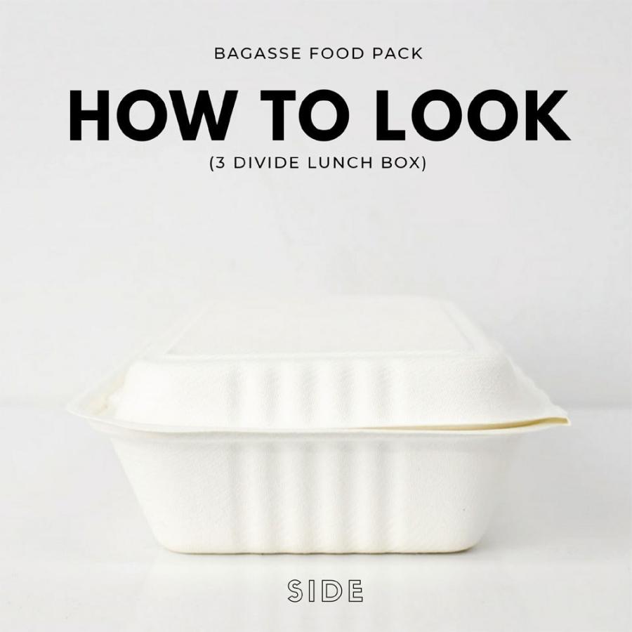 テイクアウト 容器 takeout お持ち帰り おしゃれ エコ バガス フードボックス 2分割 400枚 DF-P507 |  | 03