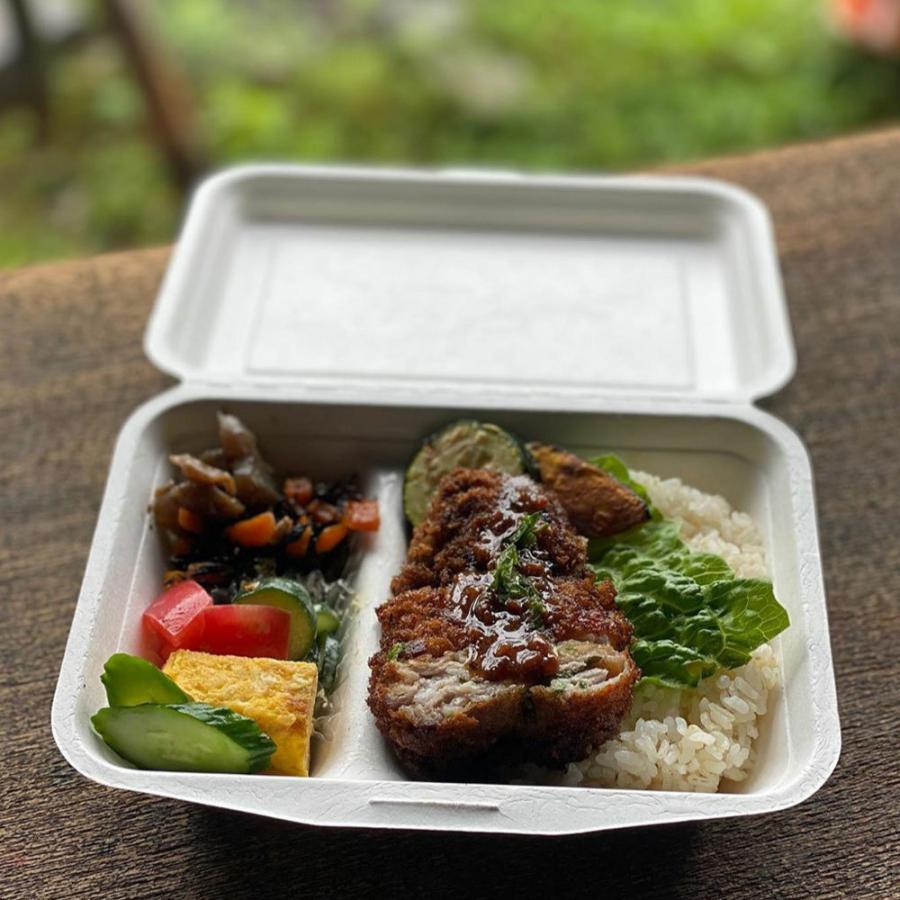 テイクアウト 容器 takeout お持ち帰り おしゃれ エコ バガス フードボックス 2分割 400枚 DF-P507 |  | 05