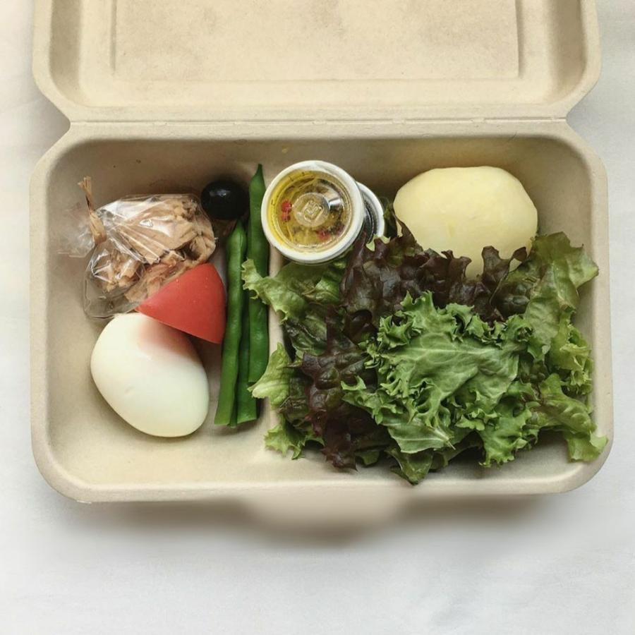 テイクアウト 容器 takeout お持ち帰り おしゃれ エコ バガス フードボックス 2分割 400枚 DF-P507 |  | 06