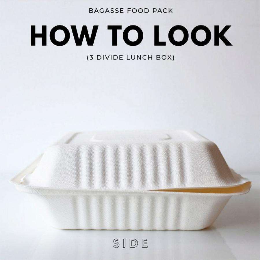 テイクアウト 容器 takeout お持ち帰り おしゃれ エコ バガス フード