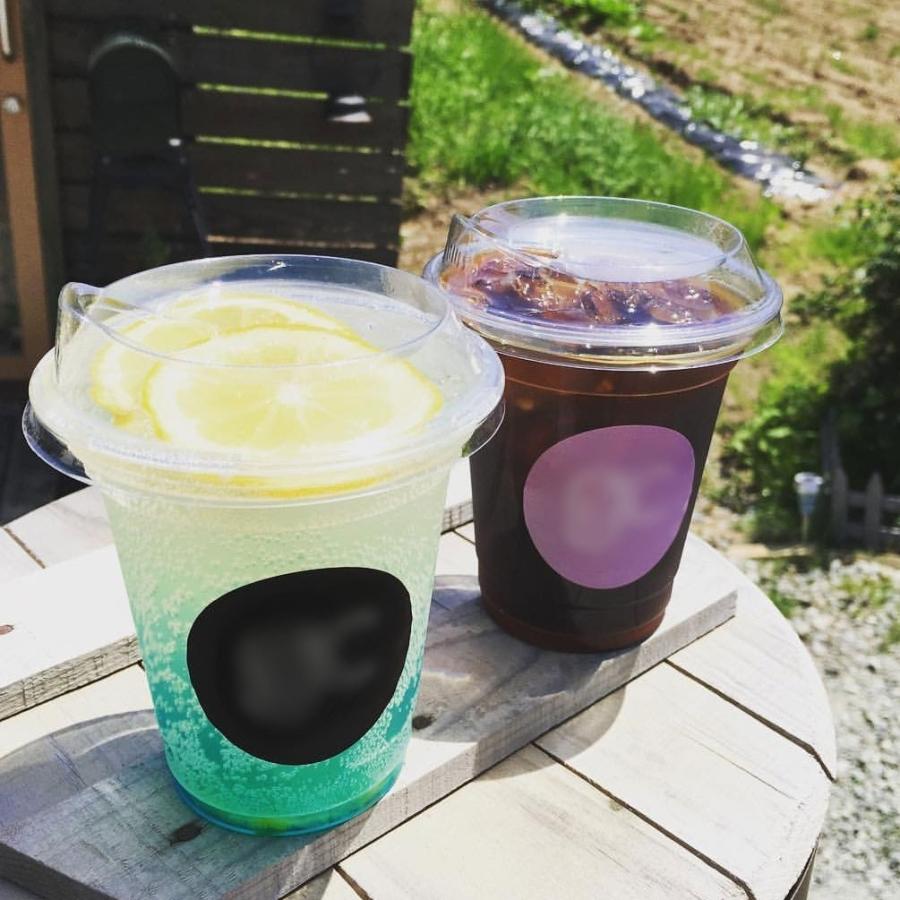 92mm口径 テイクアウト クリアカップ ペットカップ 蓋付き 17オンス＆ ノーストロー フタ 100個セット EC80 |  | 08