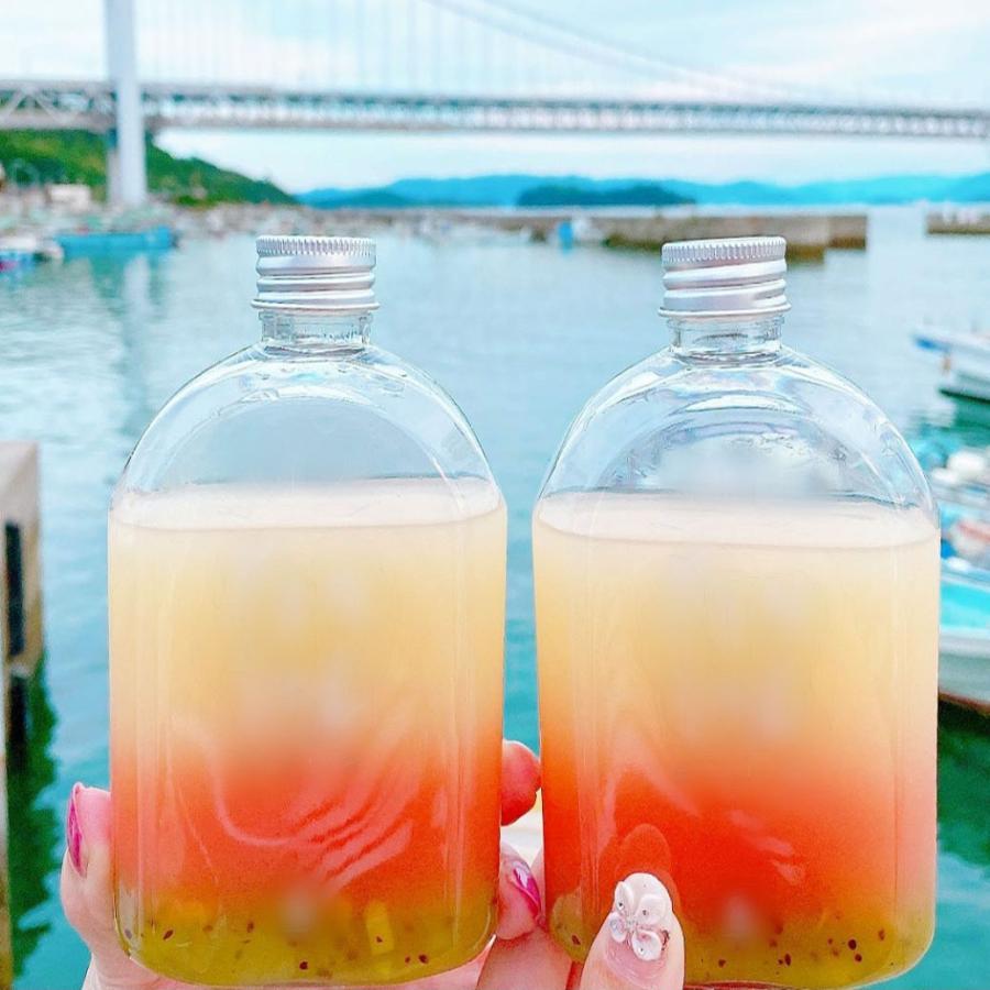 テイクアウト ドリンクボトル おしゃれ ボトル容器 330ml カフィー 銀蓋 ボトルドリンク 100個セットの画像