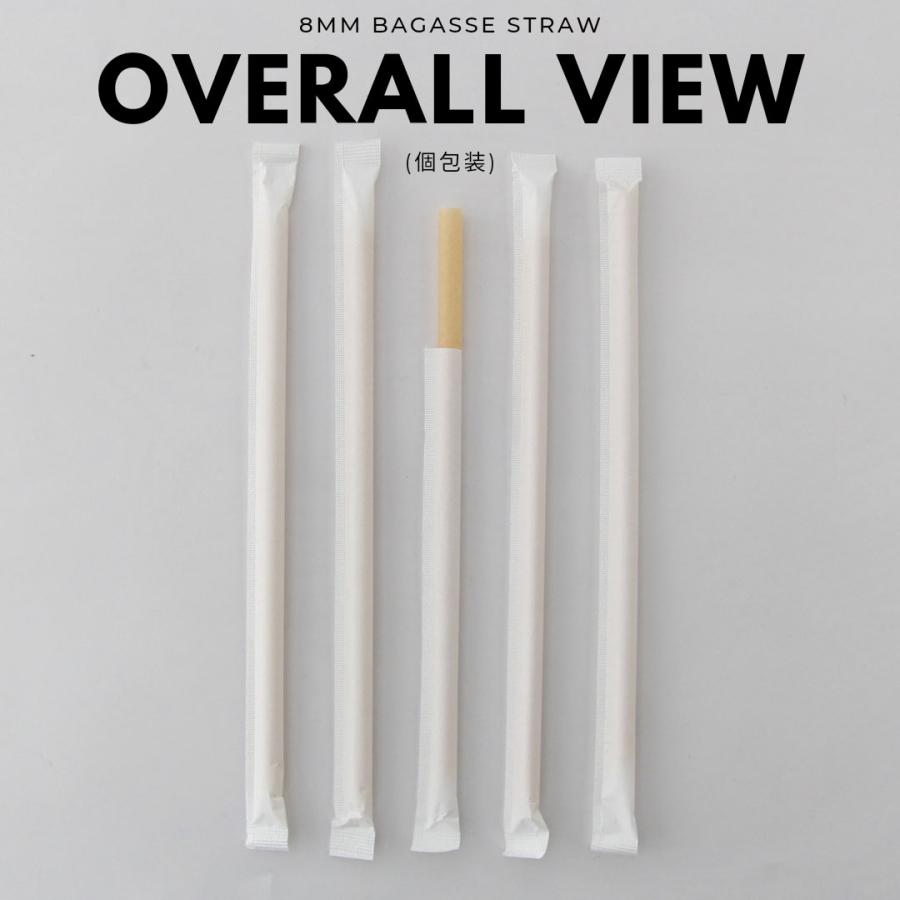 8mm口径 テイクアウト おしゃれ エコ バガス サトウキビ ストロー エコ