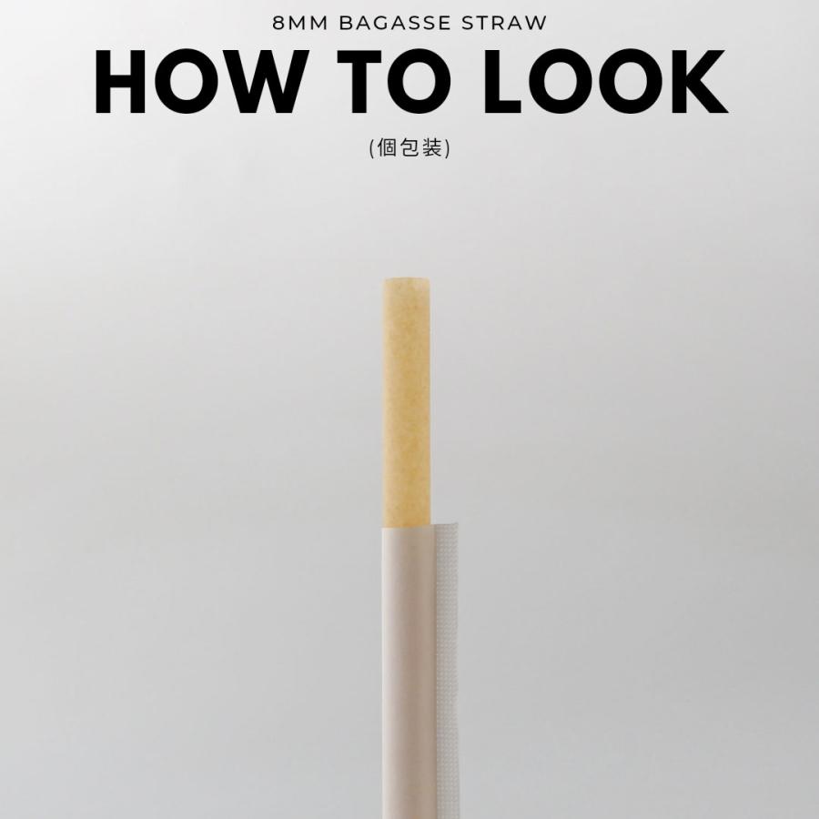 8mm口径 テイクアウト おしゃれ エコ バガス サトウキビ ストロー エコ