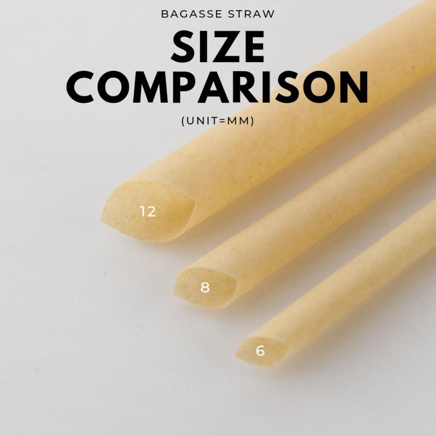 8mm口径 テイクアウト おしゃれ エコ バガス サトウキビ ストロー エコ