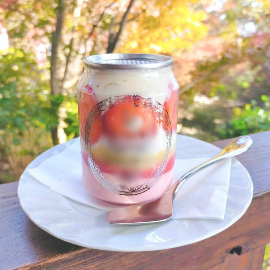 自動缶シーリング用 缶ボトル 容器 250ml フルオープンタイプ銀蓋 200