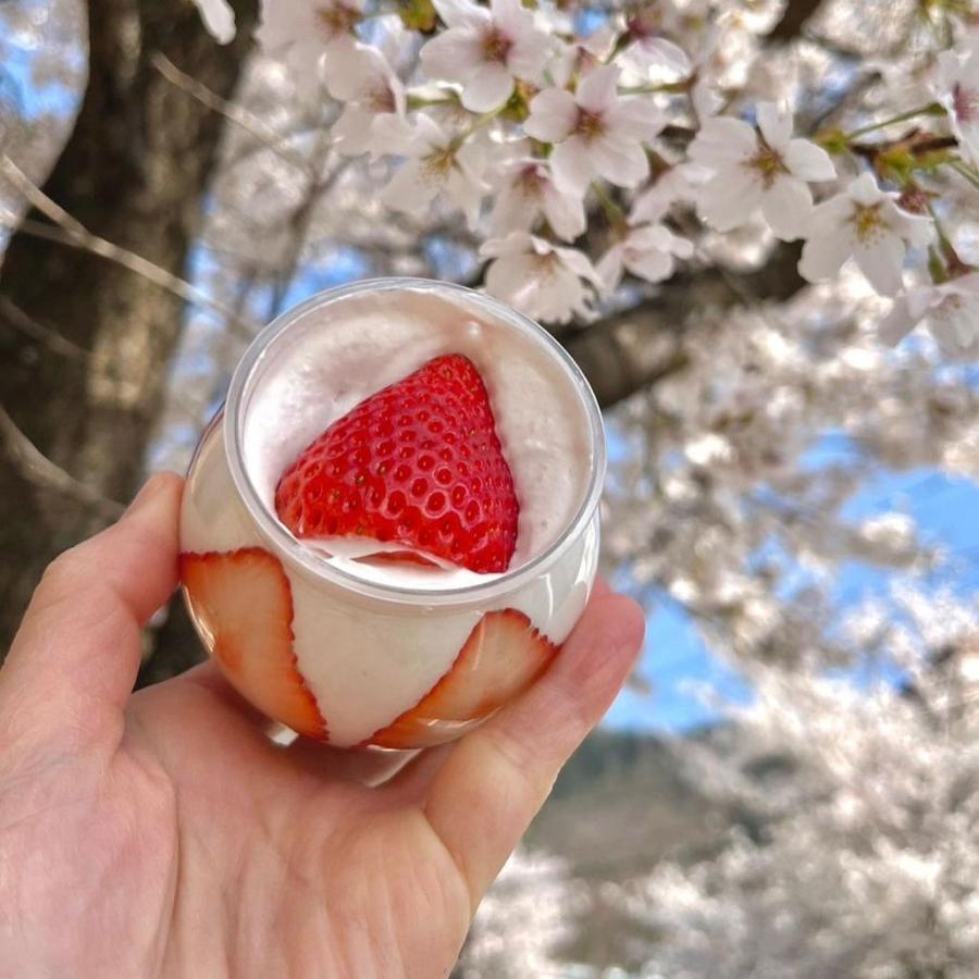 クリアガラス 菓子入れ 赤い蓋付き 琉球ガラス 泡カレット 菓子入れ キャニスター レッド 赤 未使用