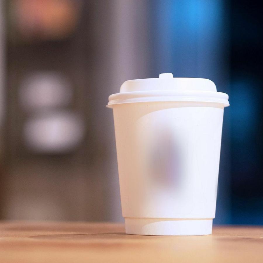 断熱ホワイト2重 8オンス 紙カップ ＆ ホット用白蓋 100個セット