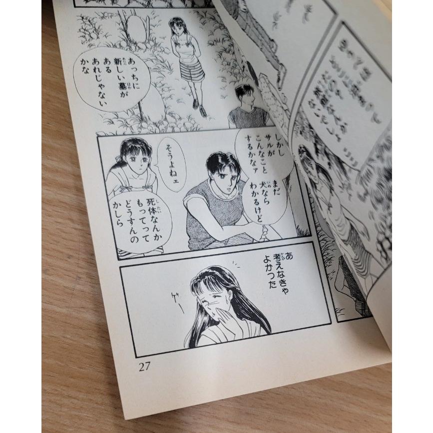 2冊セット】生霊・霊送の島 ささやななえ ホラー : ブックマーケット