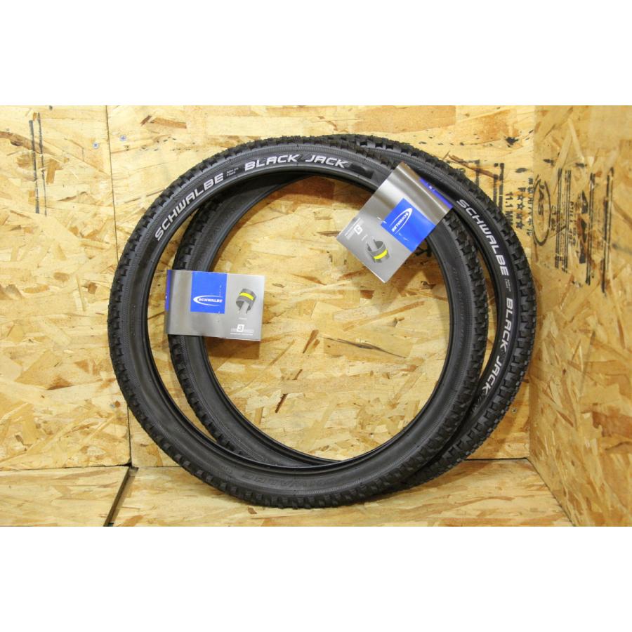 schwalbe black jack 20