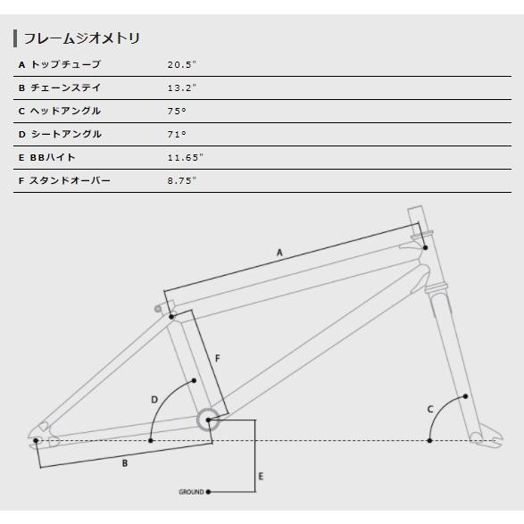 訳あり10% OFF BMX 20インチ ストリート WETHEPEOPLE CRYSIS MATT