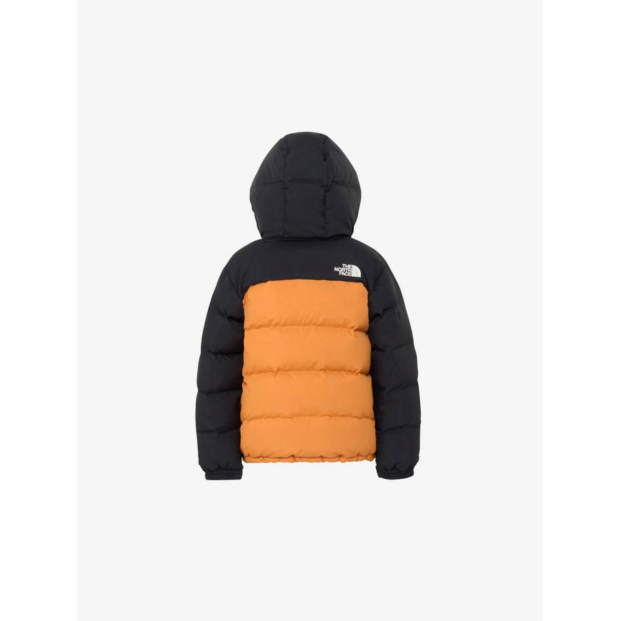 THE NORTH FACE（ザ ノースフェイス） キッズ ダウンジャケット 100