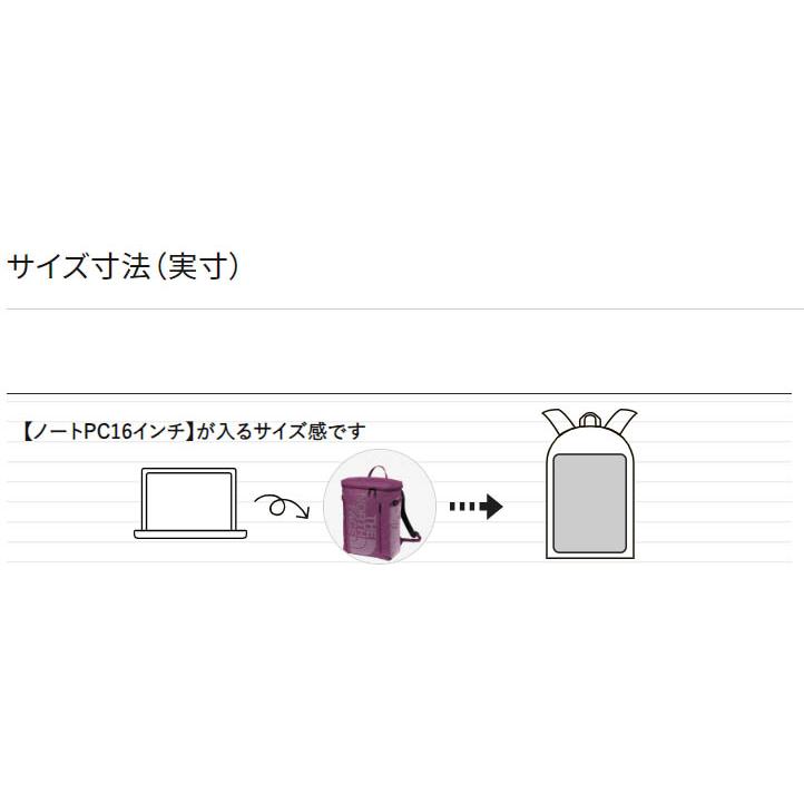 ザ・ノース・フェイス リュック ポーチ付 30L BCヒューズボックス メンズレディース North Face 通勤通学 A3ノートPCタブレット収納可能 濡れに強いの画像
