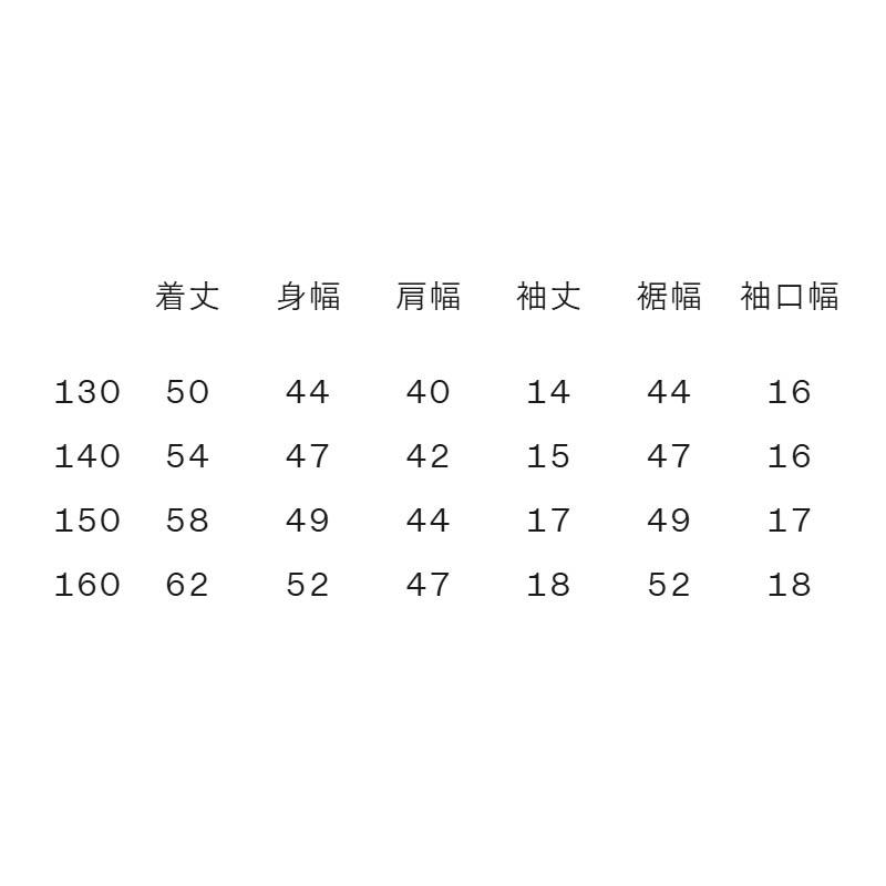 THE NORTH FACE（ザ ノースフェイス） キッズ Tシャツ 160-130cm North