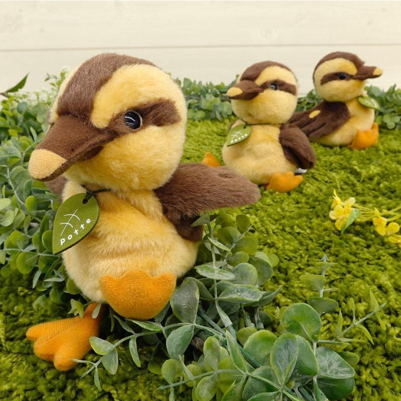 sun arrowサン・アロー　カモ ぬいぐるみ Sun Arrow（サン・アロー） 超SALE POTTE ぬいぐるみ カモのひな 13cm