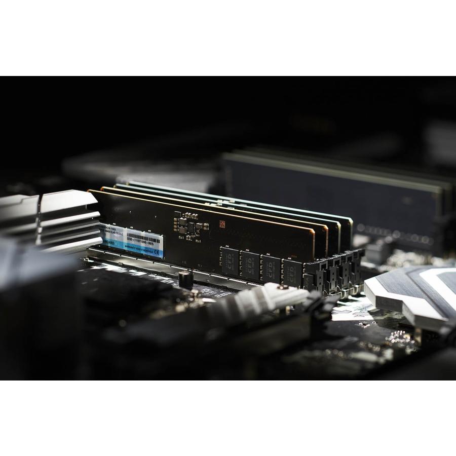 CFD Standard W5U5600CS-16G DDR5 32GB(16GB×2) DDR5-5600 |  | 03