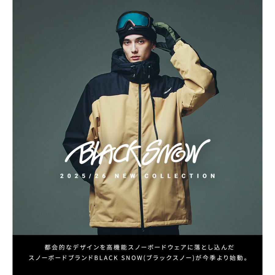 BLACK SNOW スノボ スキーゴーグル メンズ スノーボード BLACKSNOW