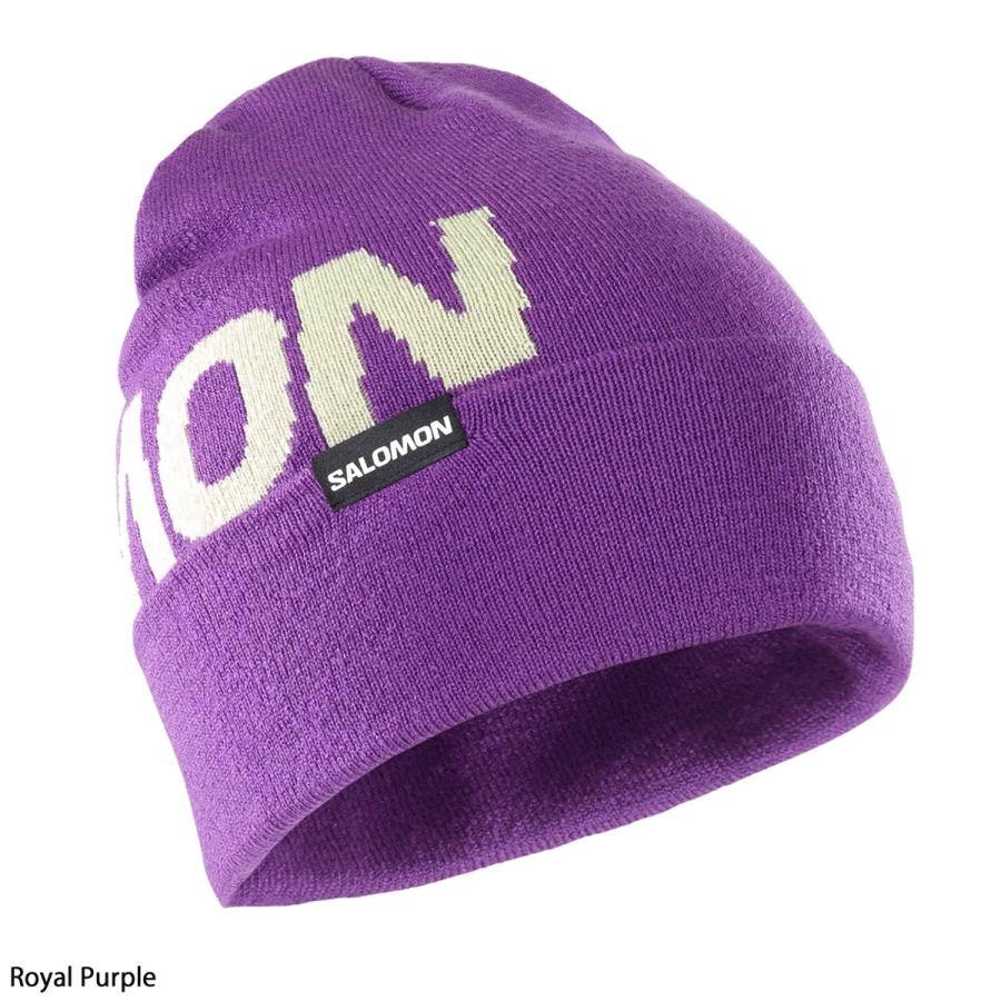 【10/4-9限定! P2514倍(エントリー要)】SALOMON サロモン  スノボニット帽 メンズ レディース ＜2024＞HERMITAGE BEANIE | SALOMON | 06