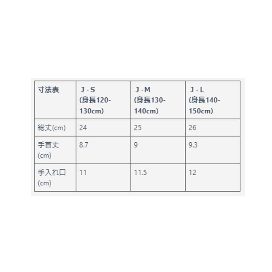 RESEEDA レセーダ スノボ グローブ キッズ ジュニア＜2025＞ JUNIOR MITTEN / REA77101【ミトン】 日本正規品 | RESEEDA | 11