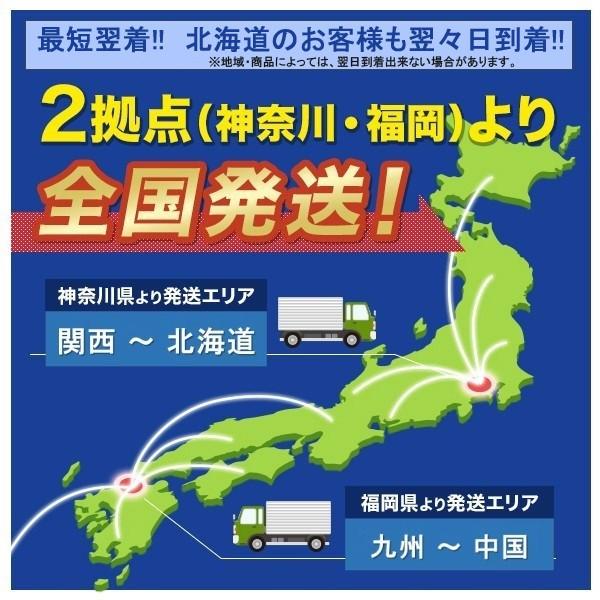 《廃盤》 75B24R HYUNDAI PREMIUM ヒュンダイ バッテリー 充電制御車用 エコ 低燃費 新品 当日発送 最短翌着 ボーディング 保証付 送料別｜boarding｜02