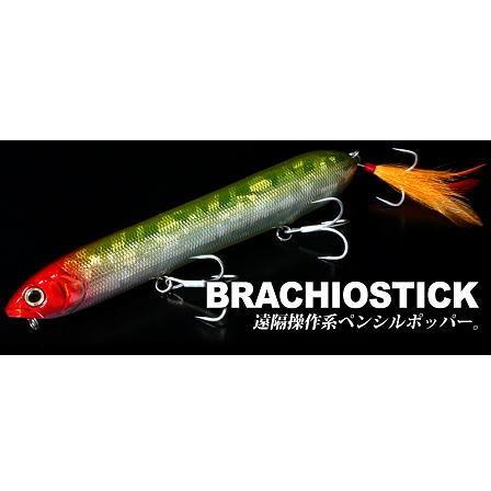 deps（デプス） BRACHIOSTICK/ブラキオスティック : BOAT&TACKLE