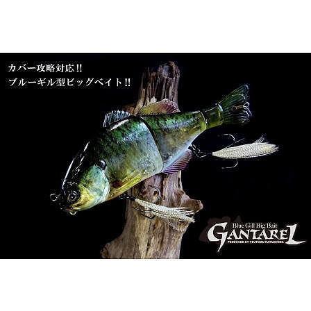 JACKALL（ジャッカル） GANTAREL/ガンタレル : BOAT&TACKLE クルーズ