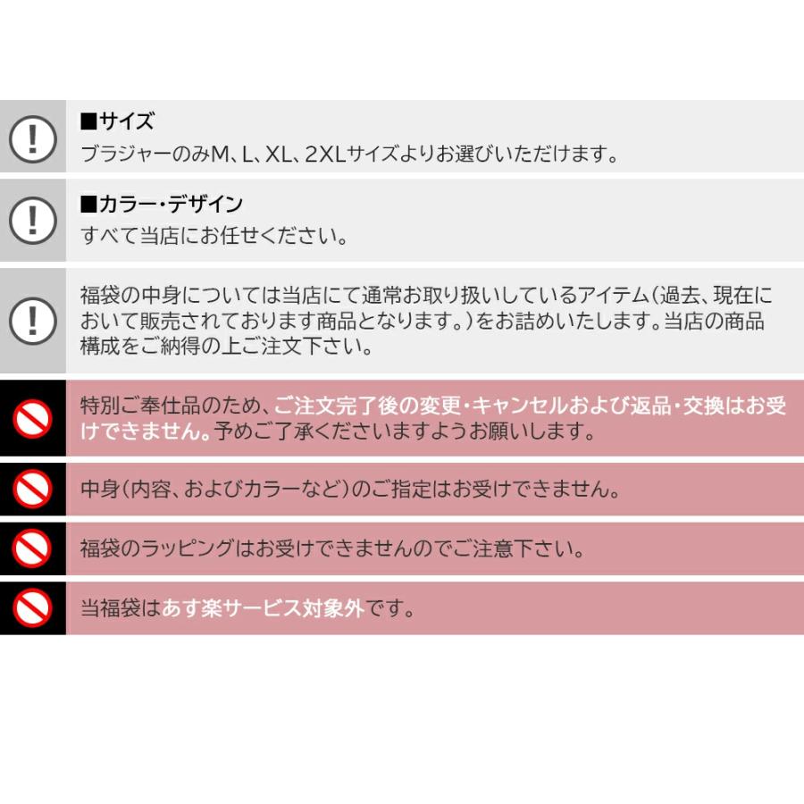 福袋2024 A 福袋 レディース ファッション 厳選商品 12点セット 送料無料 ブラジャー ショーツセット シルク 枕カバー 人気アイテム 返品交換不可｜bobattapioca｜13