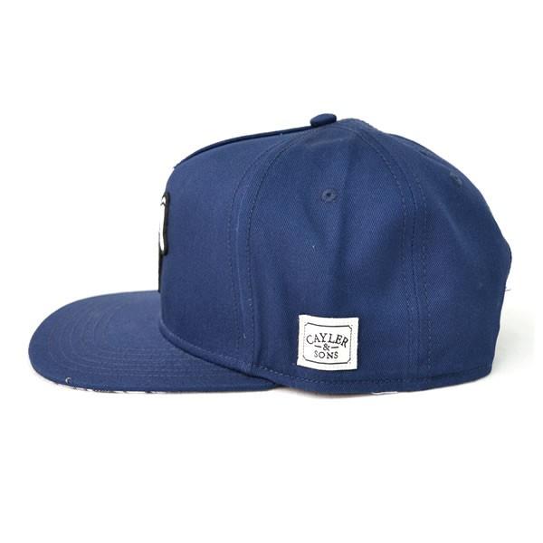 ケイラーアンドサンズ【CAYLER&SONS】C&S WL Make It Rain Classic Cap CLASSIC-CAY-SU16-02｜bobsstore｜03